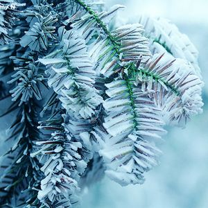 男人喝女尿㊙️免费看
