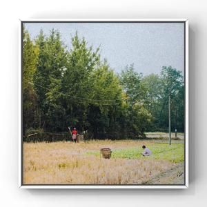 男人喝女尿㊙️免费看
